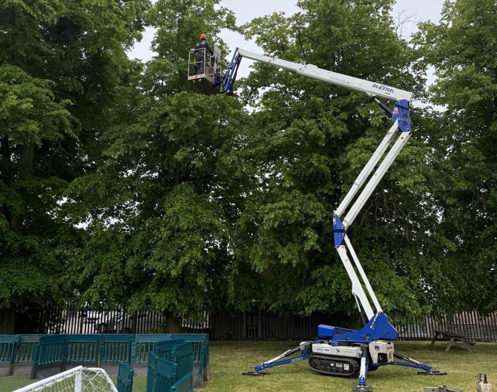tree pruning Bedford