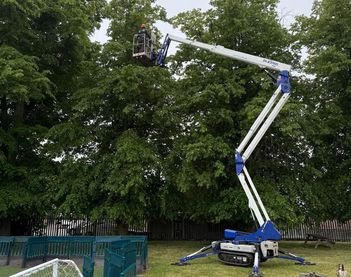 Tree Safe Hand Tree Pruning in Safe Hands at a School in Bedford - Eden Tree ...