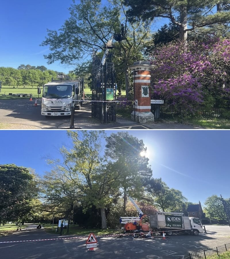 Tree surgeon Bedford Park