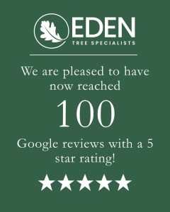tree surgeon reviews