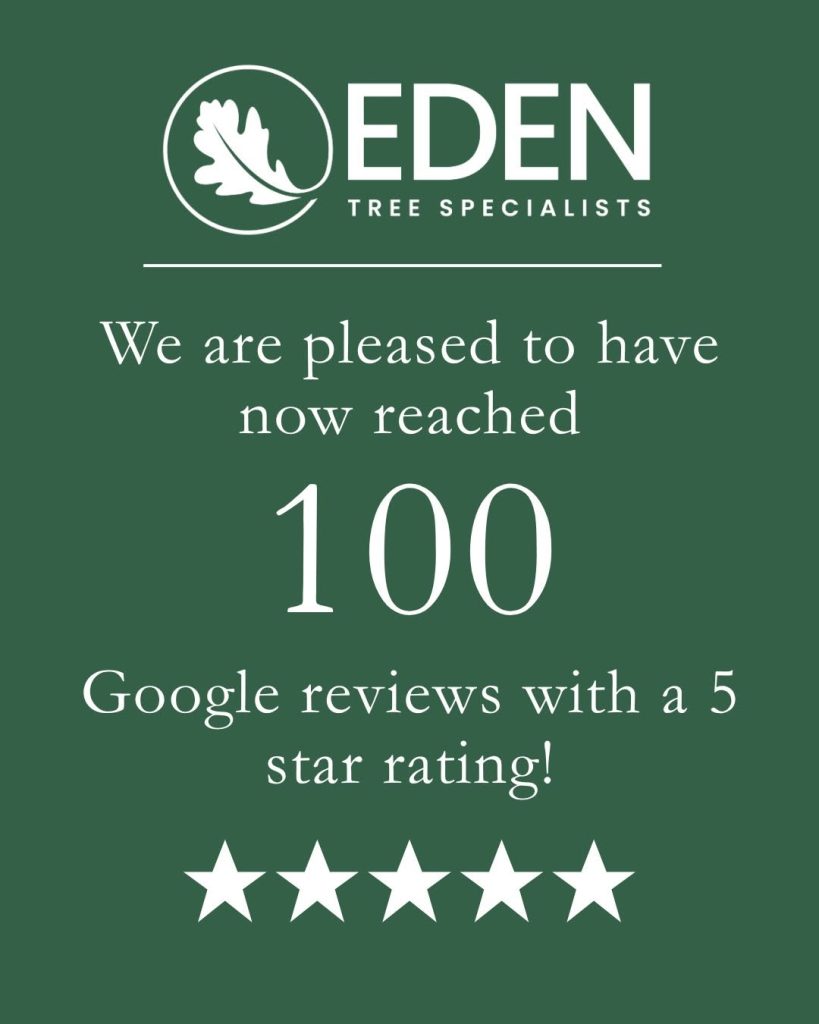 tree surgeon reviews
